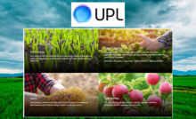 UPL Ltd Share Price Target 2024 to 2040